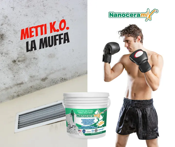 🥊 Problemi di muffa sulle pareti? Mettila K.O.! 🥊 Non ti